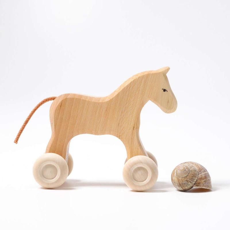 Small Horse Filou