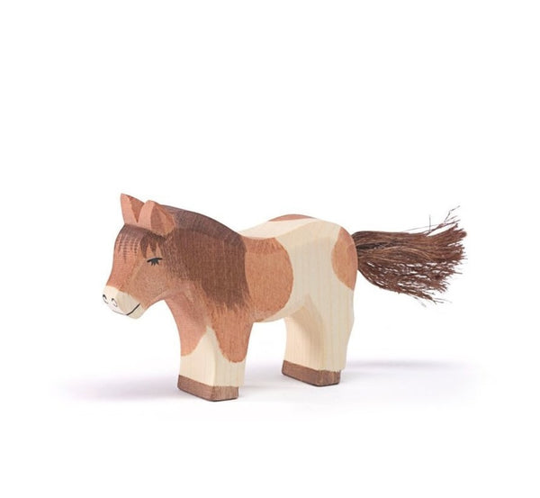 Shetland Pony Standing
