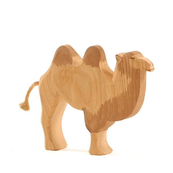 Camel Without Saddle