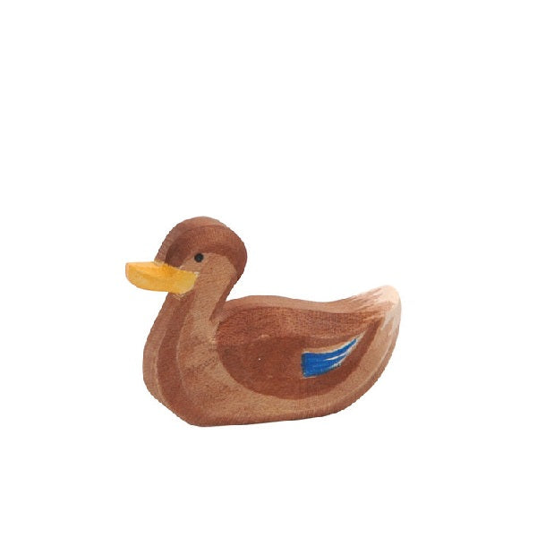 Duck Swimming