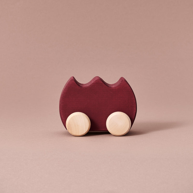 Toy Car Tulip