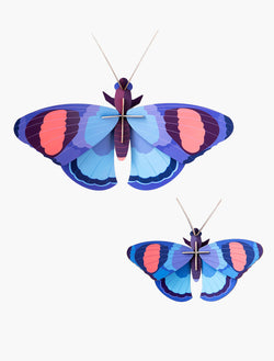 Studio Roof Deluxe Peacock Butterflies - Picture Play - The Modern Playroom
