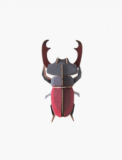 Studio Roof Stag Beetle - Picture Play - The Modern Playroom