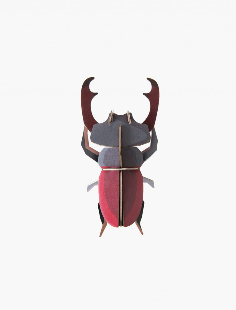 Stag Beetle