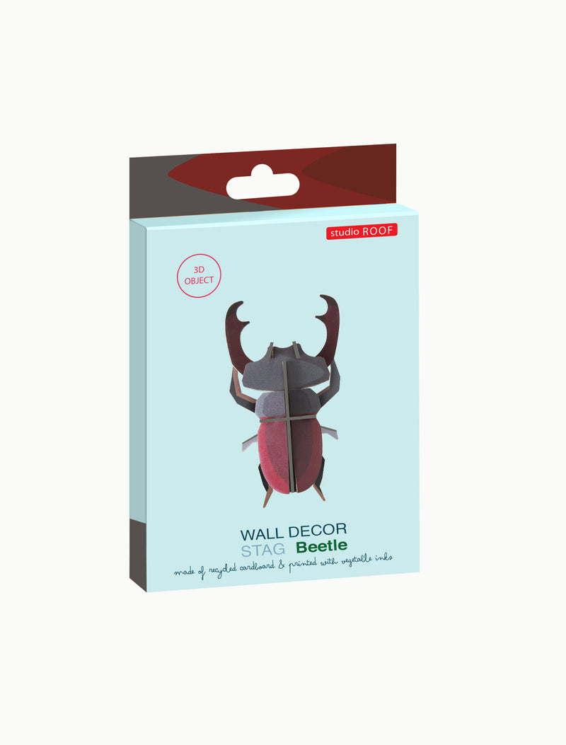 Stag Beetle