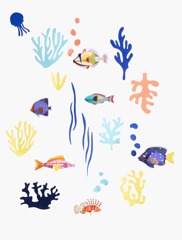 Wall of Curiosities - Fish Hobbyist