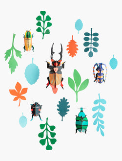 Studio Roof Wall of Curiosities - Beetle Antiquary - Picture Play - The Modern Playroom