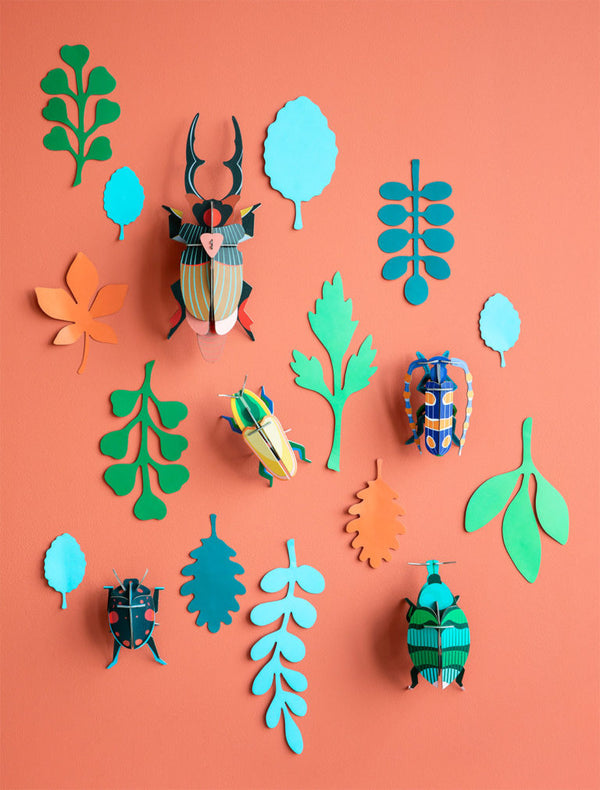 Wall of Curiosities - Beetle Antiquary
