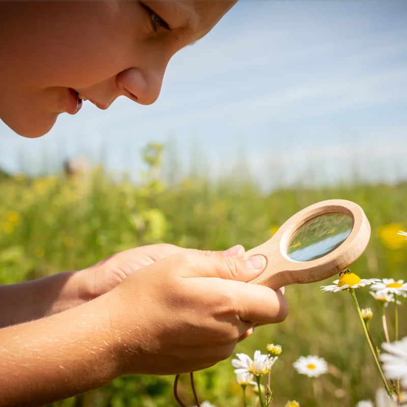 Dual Magnifier