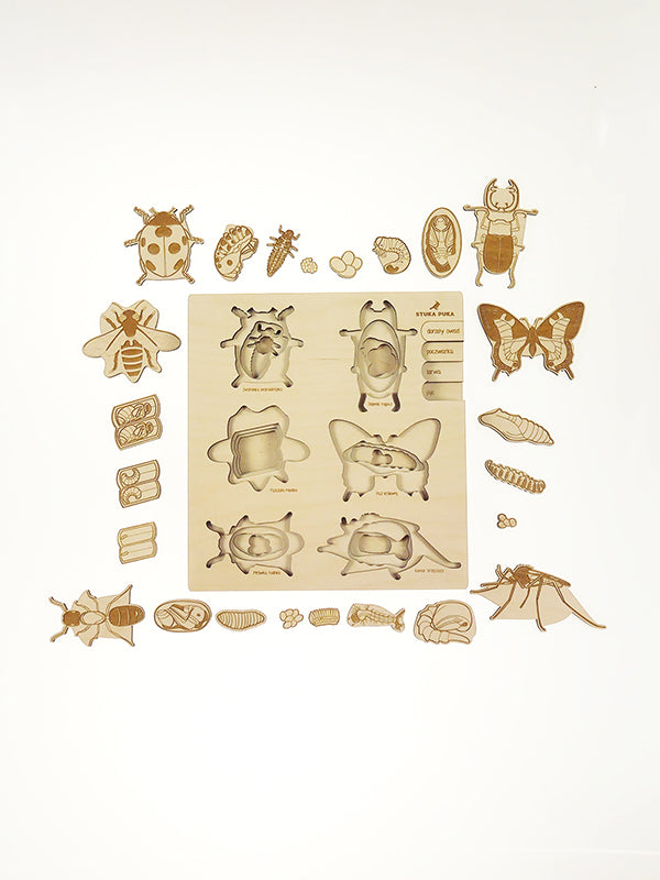 A Bugs life