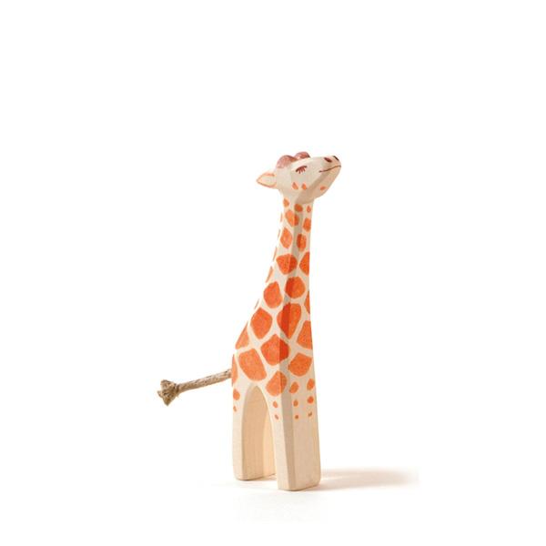 Giraffe Small Head High