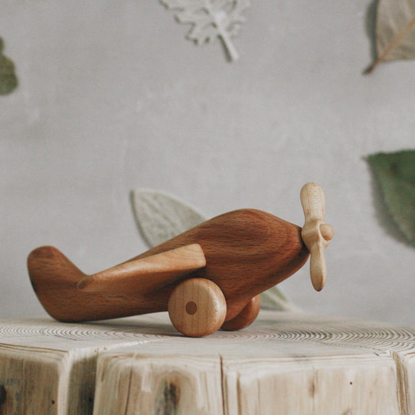 Toy best sale wooden plane