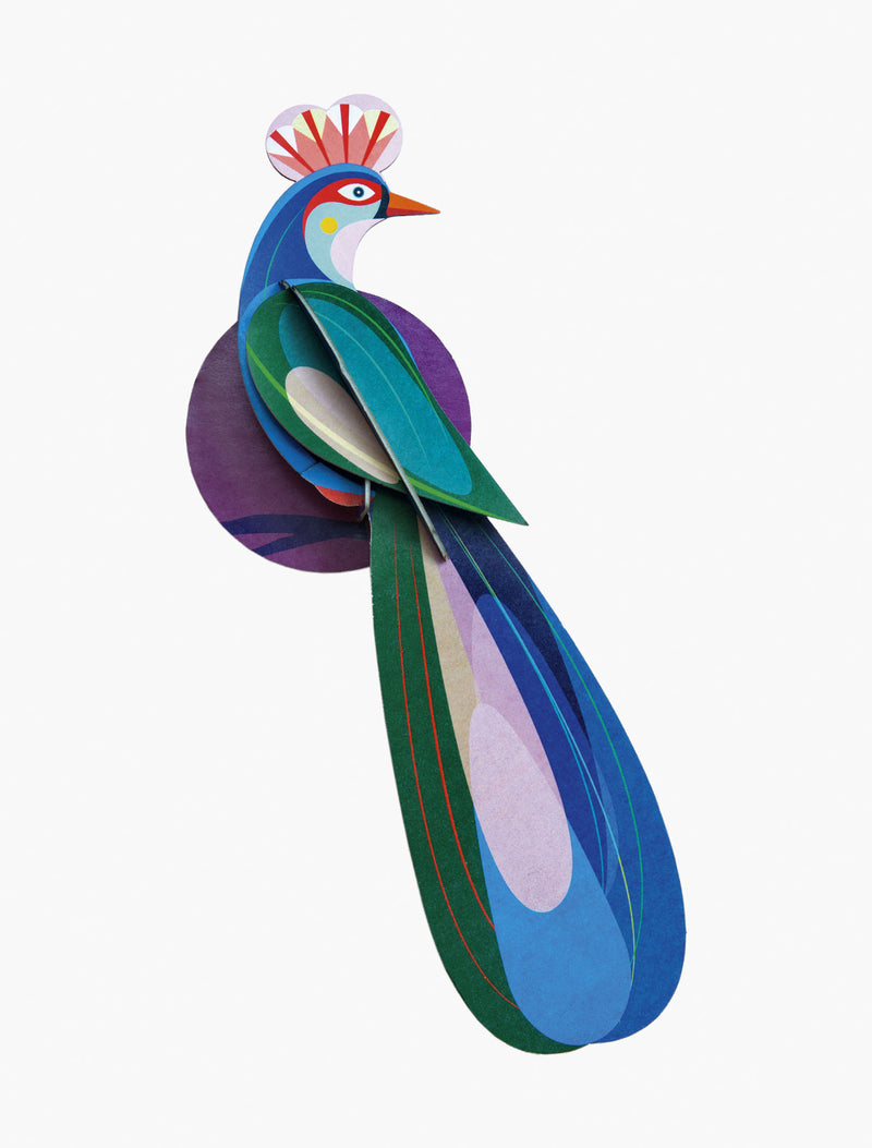 Paradise Bird, Banda