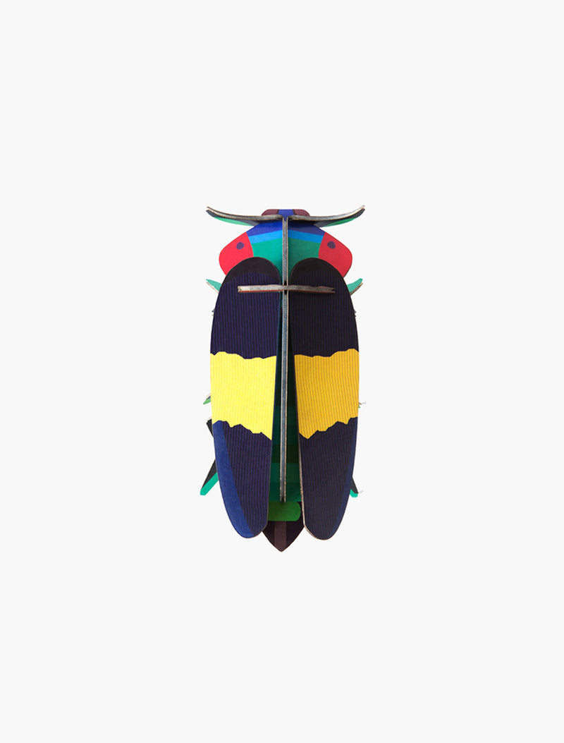 Jewel Beetle