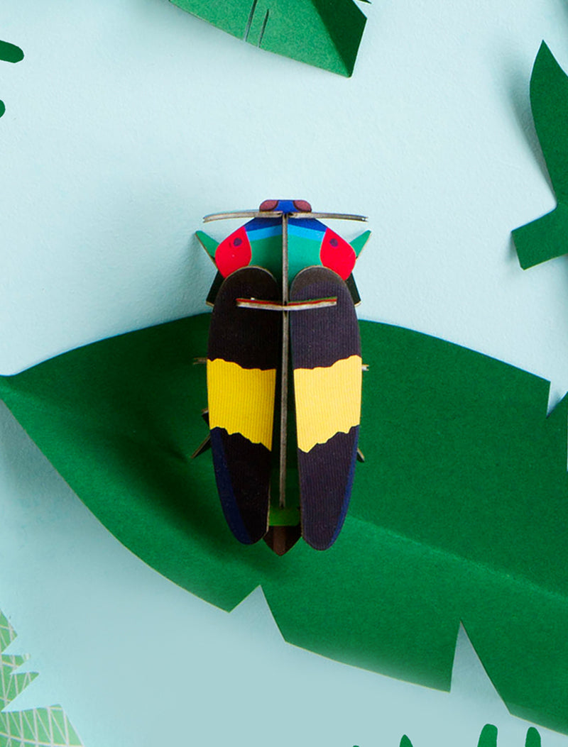 Jewel Beetle