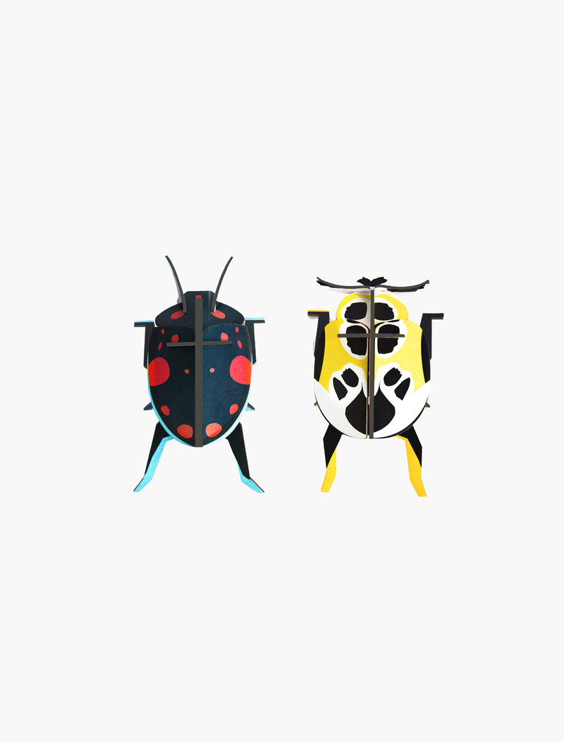 Lady Beetles