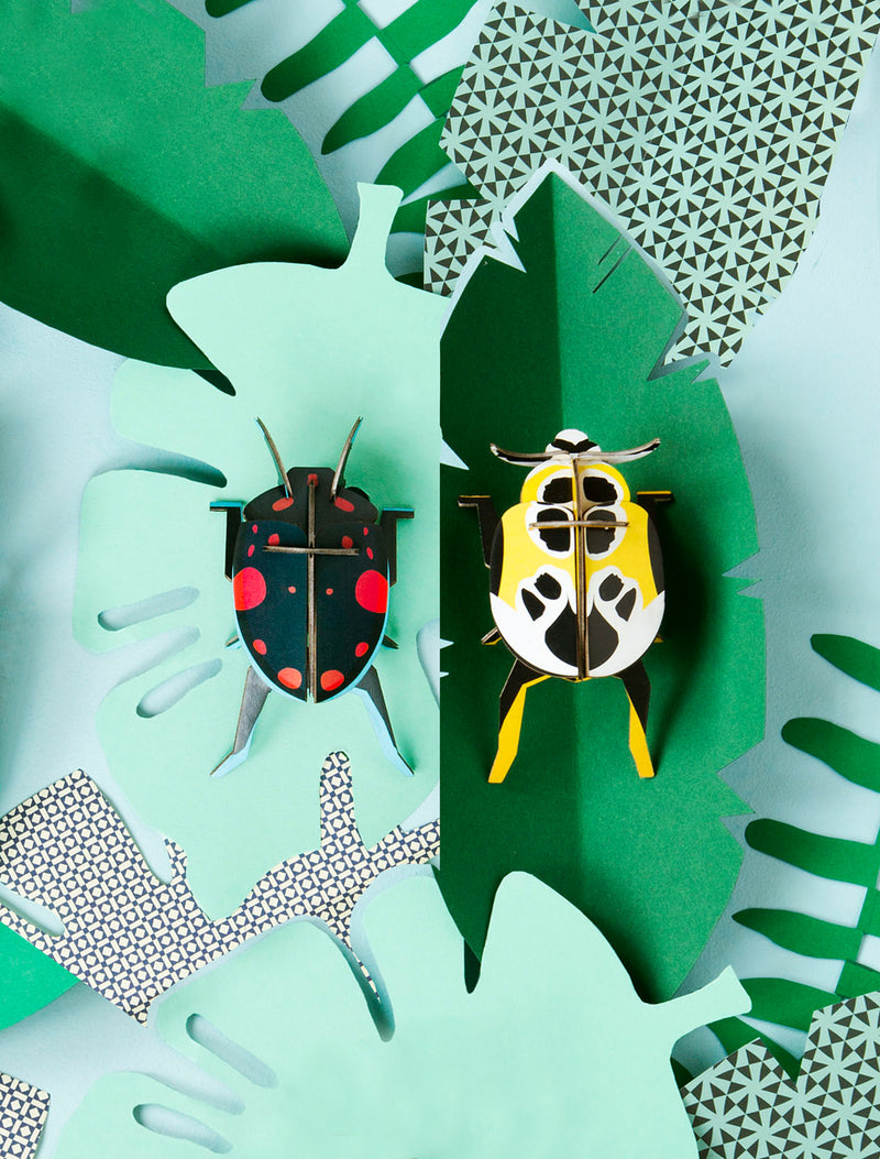 Lady Beetles
