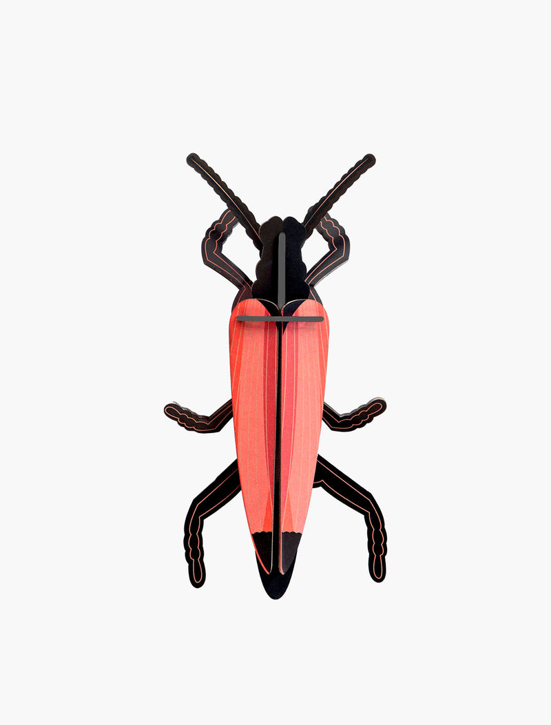 Longhorn Beetle