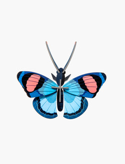 Studio Roof Peacock Butterfly - Picture Play - The Modern Playroom