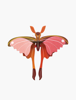 Studio Roof Pink Comet Butterfly - Picture Play - The Modern Playroom