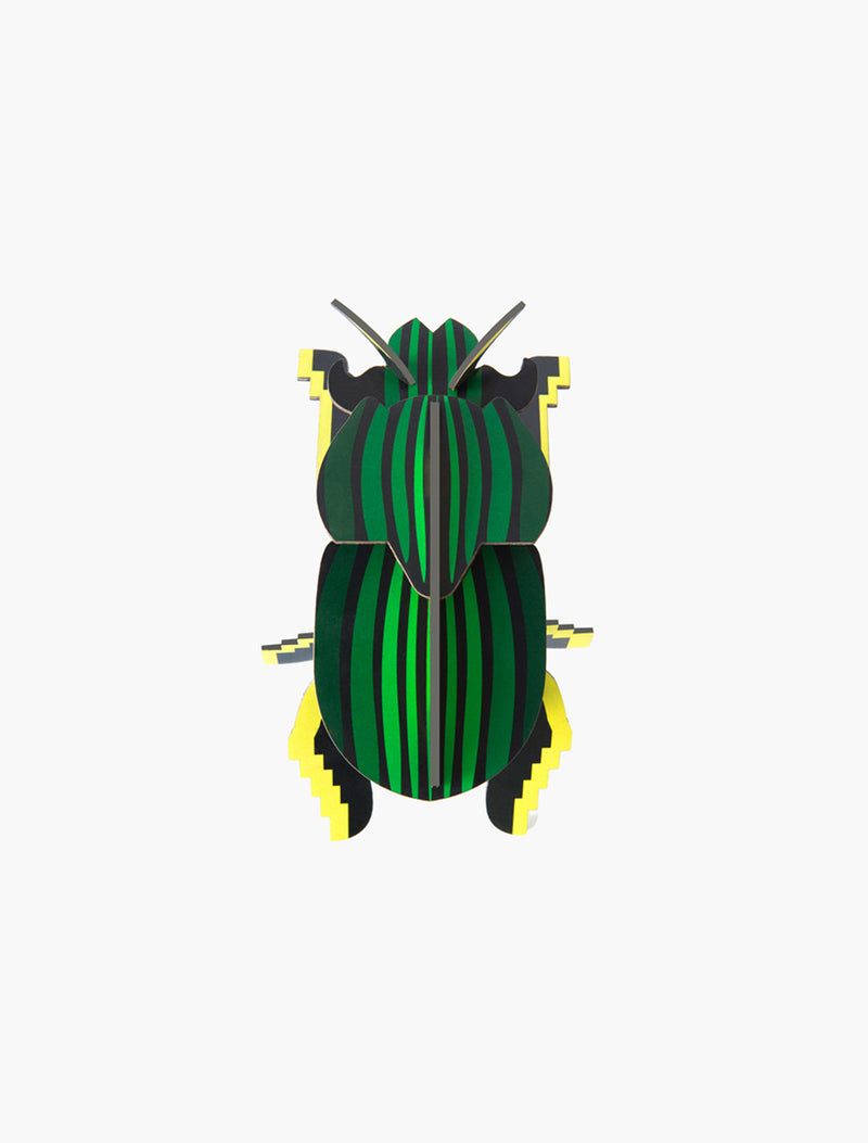 Scarab Beetle