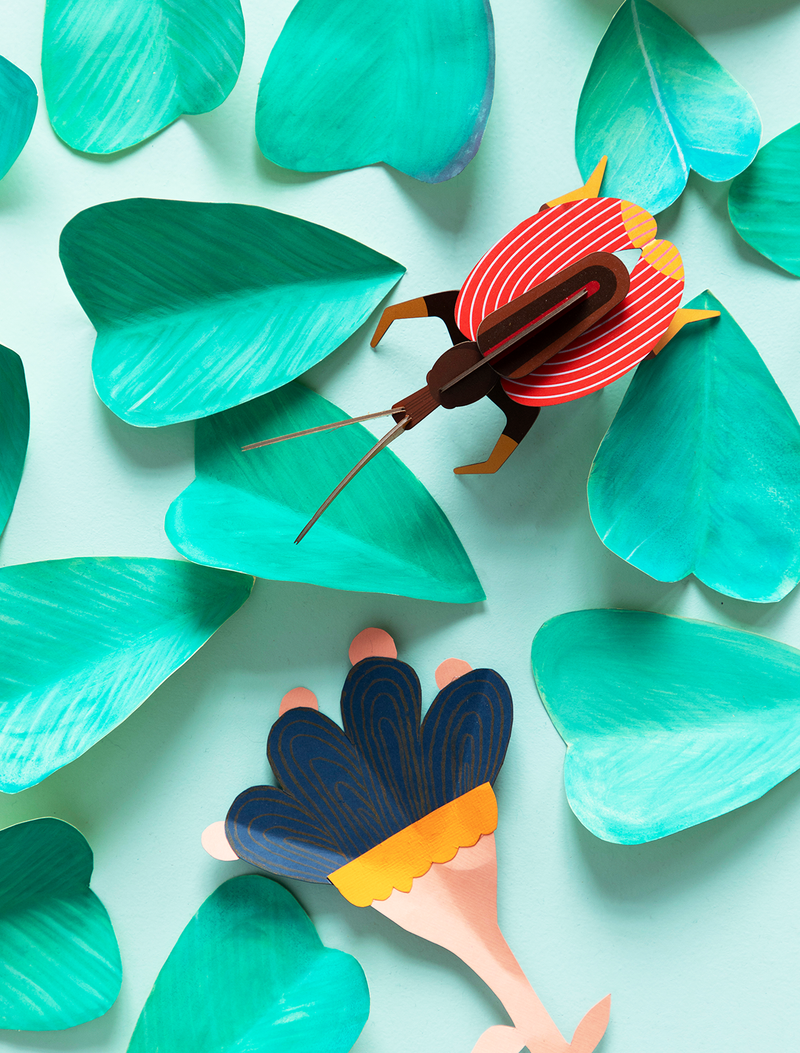 Violin Beetle
