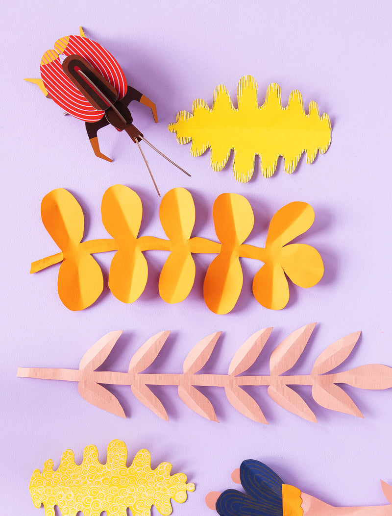 Violin Beetle
