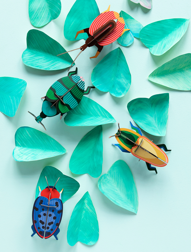 Violin Beetle