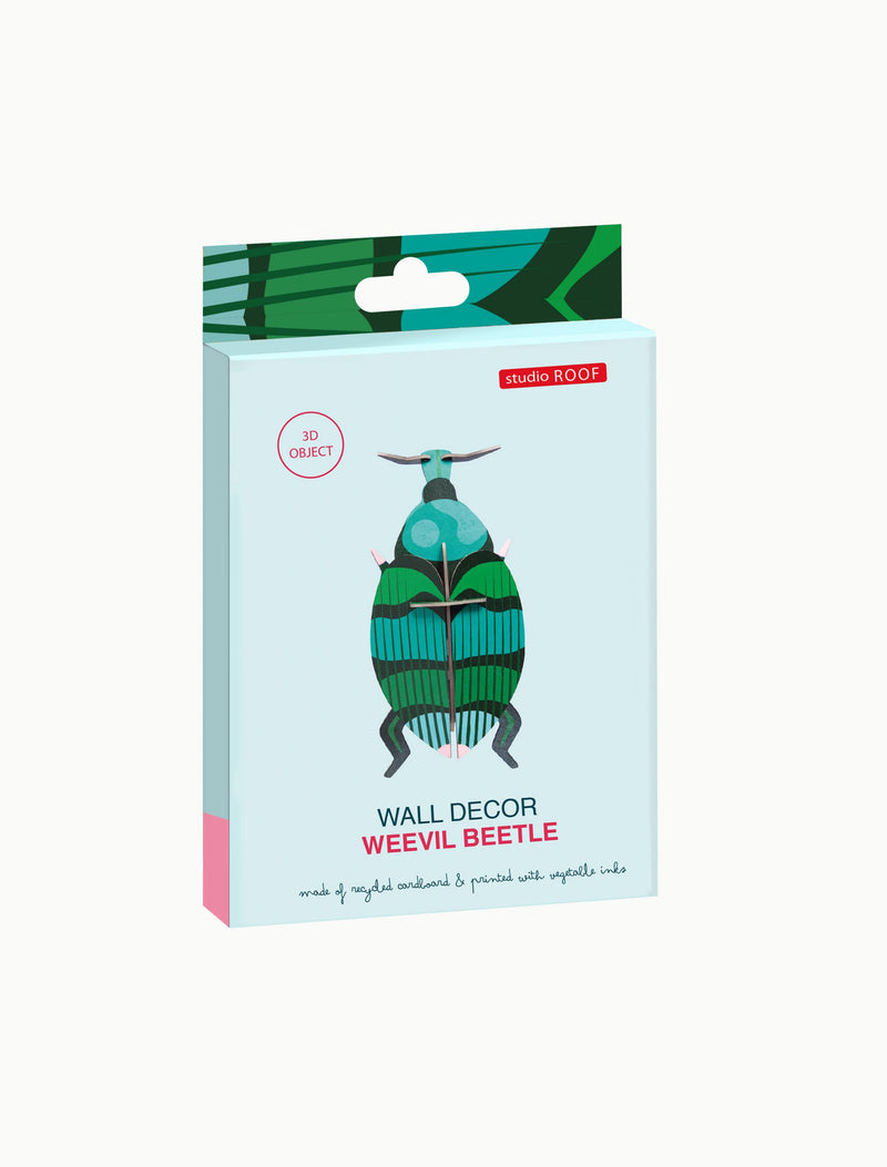 Weevil Beetle