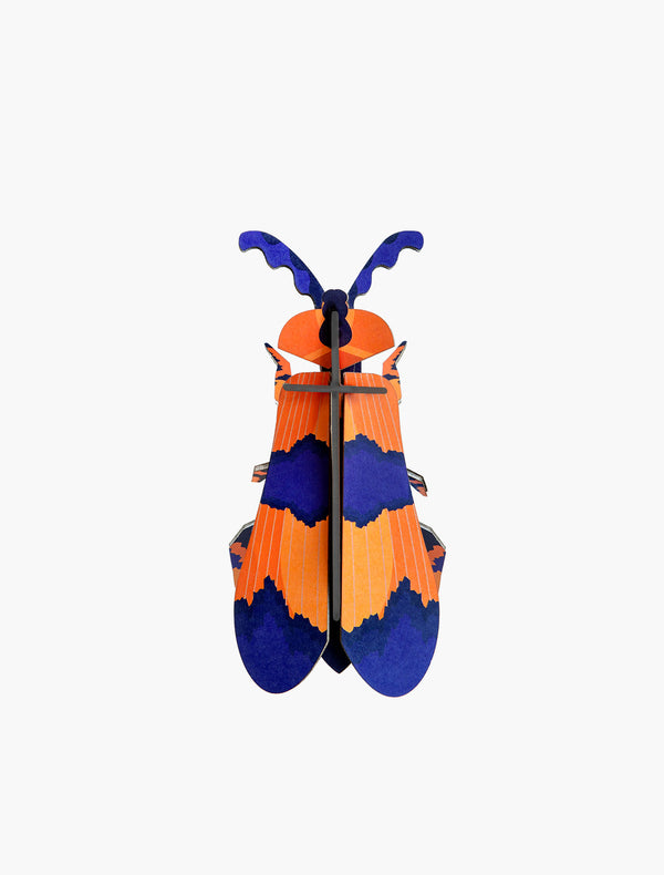 Winged Beetle