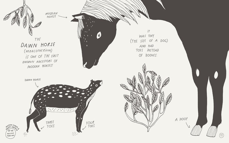 Animals Of A Bygone Era: An Illustrated Compendium