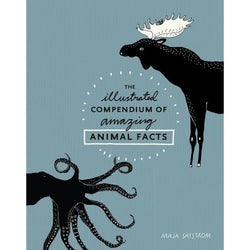 Books The Illustrated Compendium of Amazing Animal Facts - Word Play - The Modern Playroom